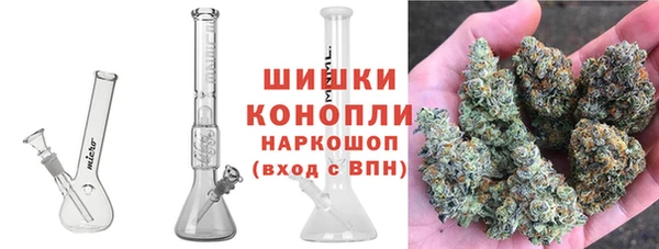 шишки Новодвинск