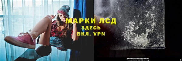шишки Новодвинск