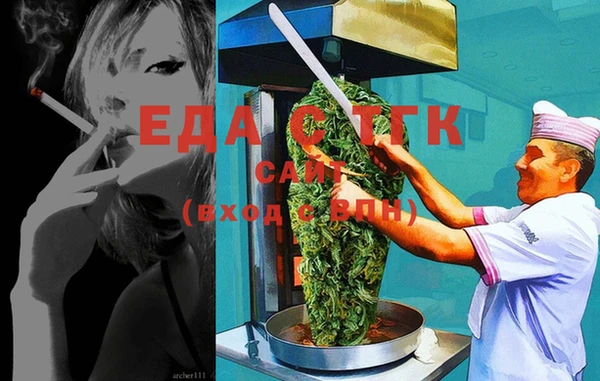 шишки Новодвинск