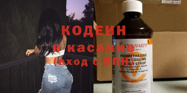 шишки Новодвинск