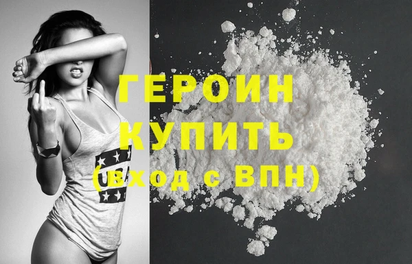шишки Новодвинск