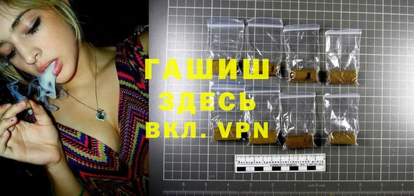 шишки Новодвинск