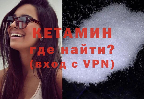 шишки Новодвинск