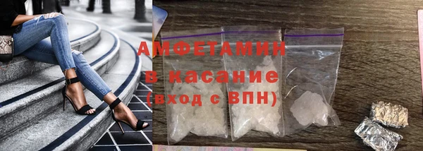 шишки Новодвинск