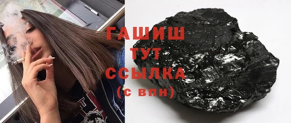 шишки Новодвинск