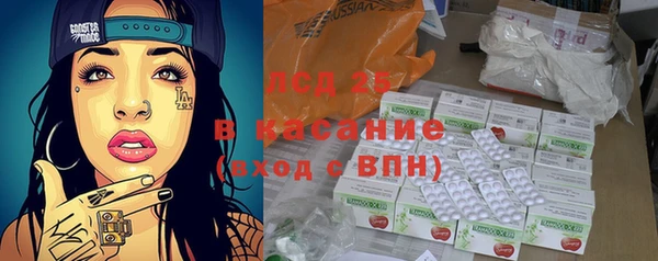 шишки Новодвинск